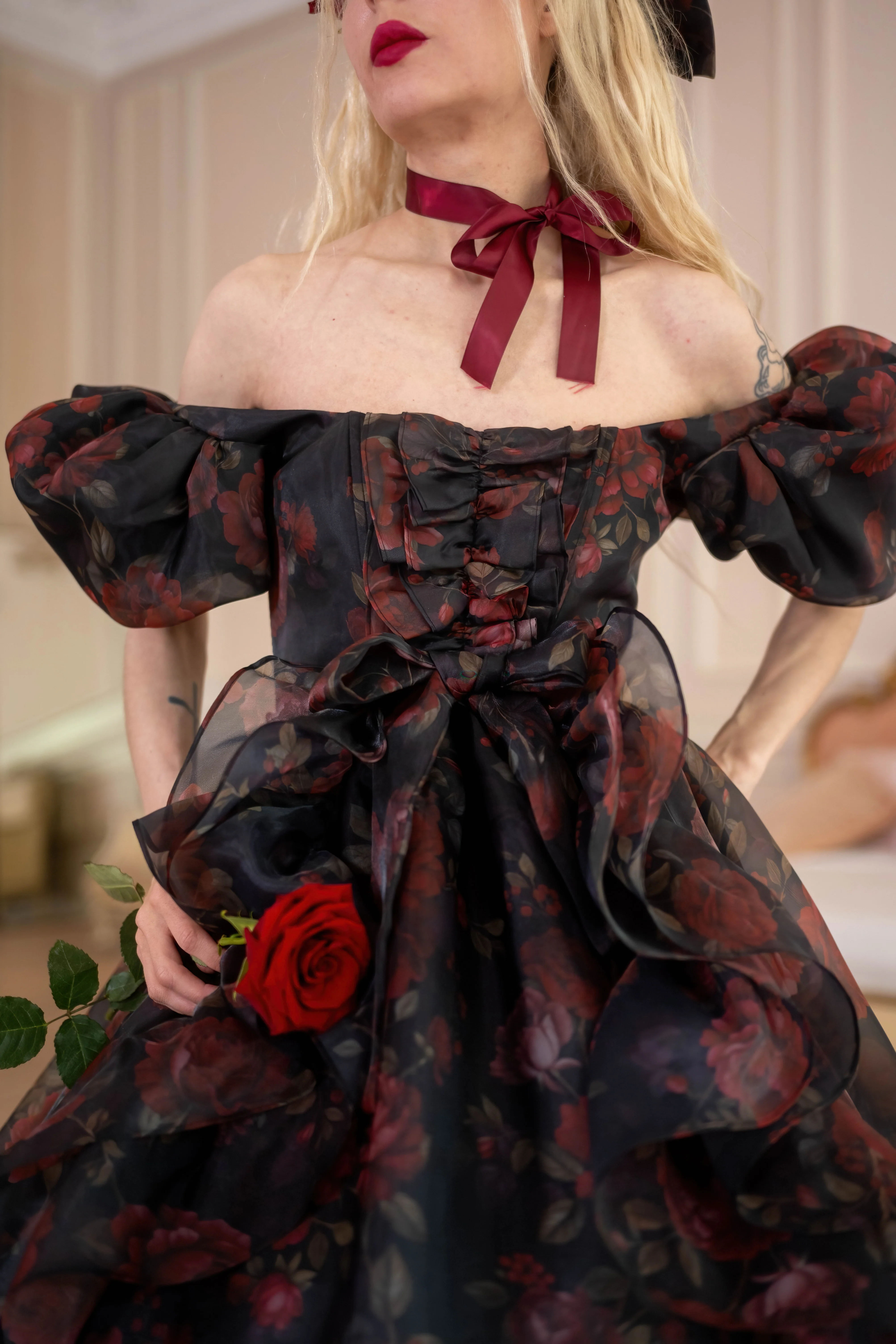 Dark Romance Antoinette Train Gown - Image 19