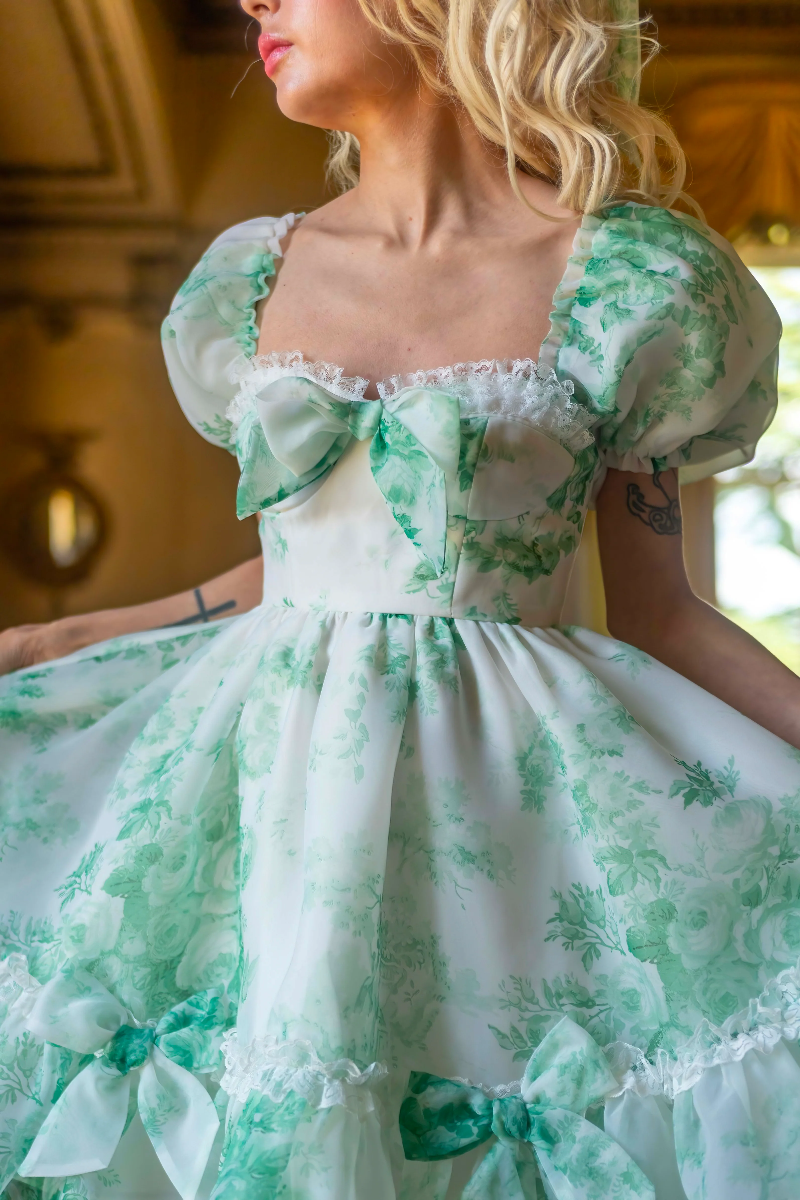 Lawn Party Beau Dress - Image 2